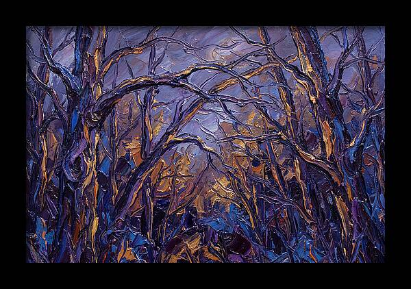 Enchanted Evening In The Woods
