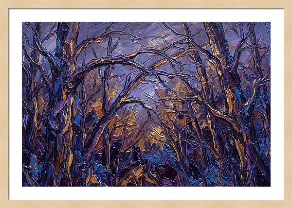Enchanted Evening In The Woods