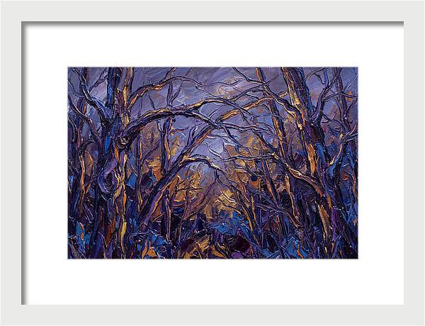Enchanted Evening In The Woods