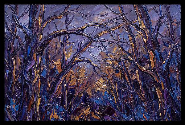 Enchanted Evening In The Woods