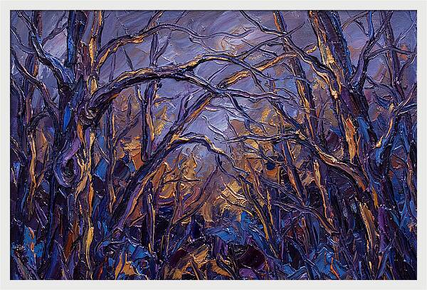 Enchanted Evening In The Woods