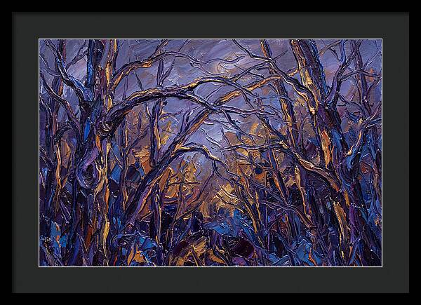 Enchanted Evening In The Woods