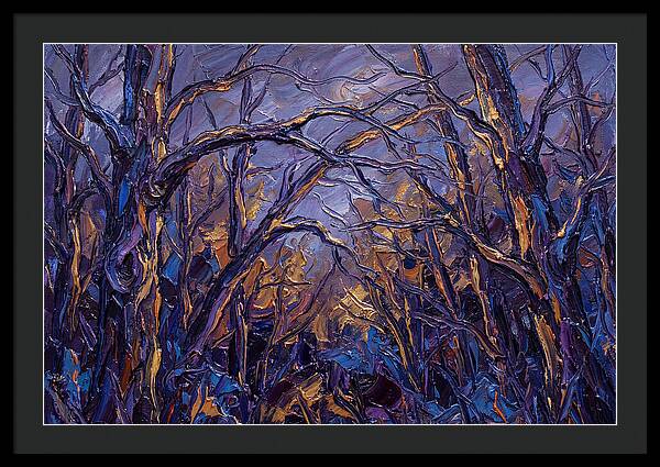 Enchanted Evening In The Woods