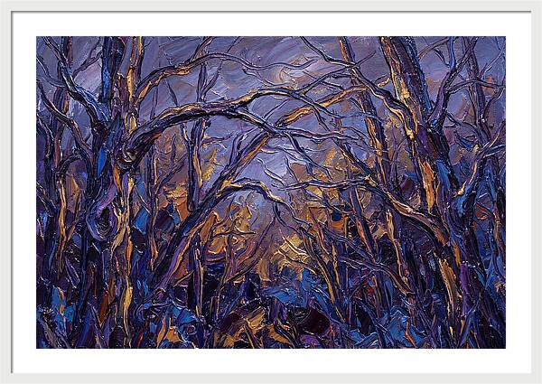 Enchanted Evening In The Woods