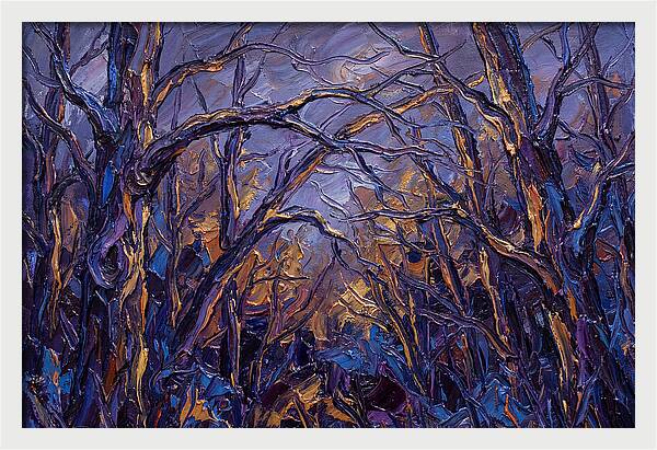 Enchanted Evening In The Woods