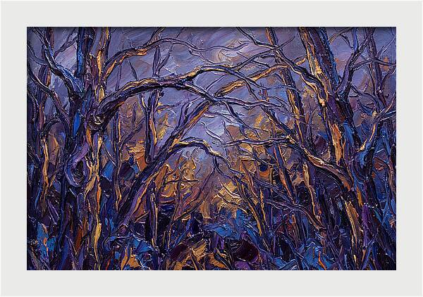 Enchanted Evening In The Woods