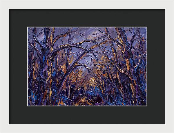 Enchanted Evening In The Woods