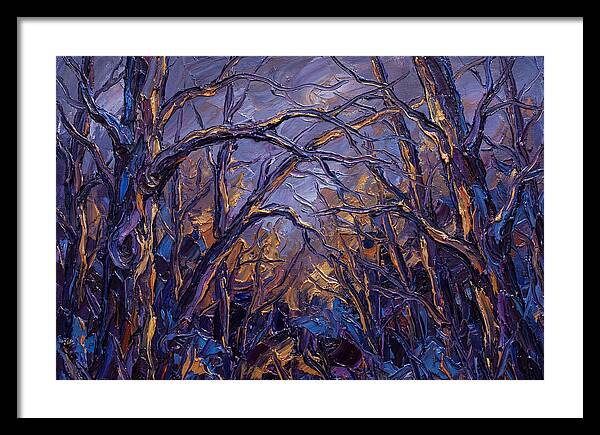 Enchanted Evening In The Woods