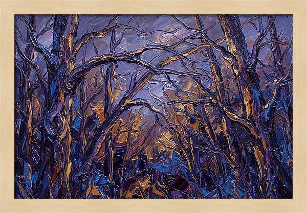Enchanted Evening In The Woods