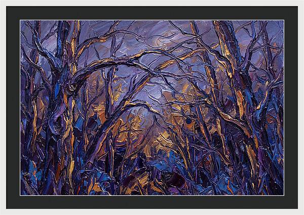 Enchanted Evening In The Woods