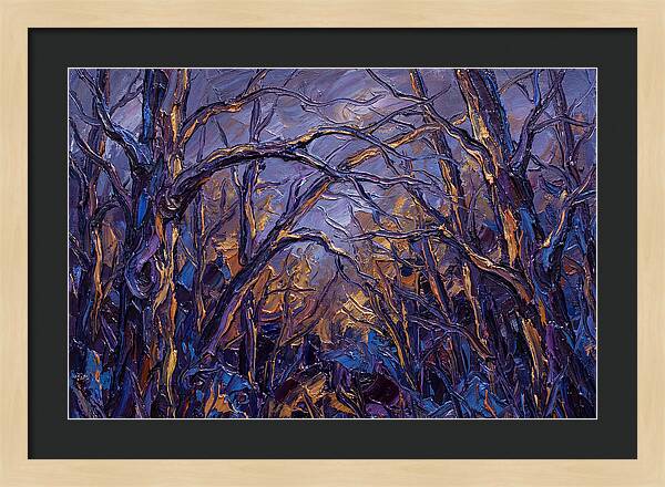 Enchanted Evening In The Woods