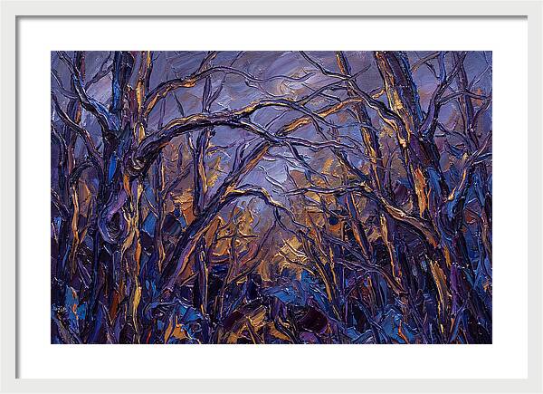 Enchanted Evening In The Woods