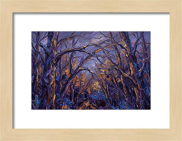Enchanted Evening In The Woods