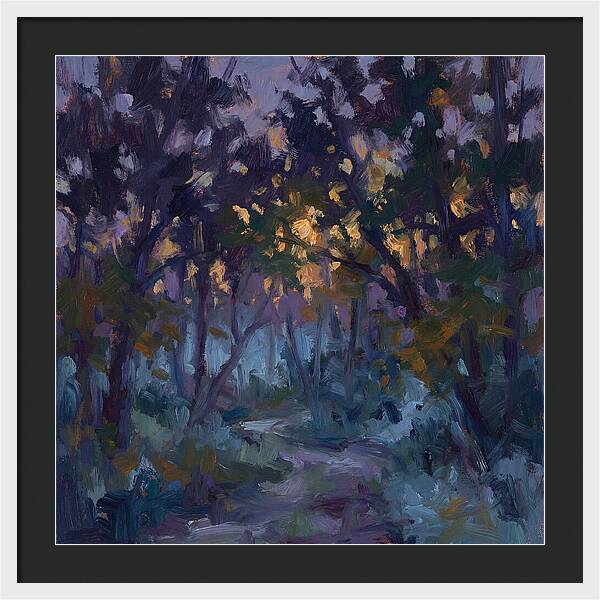 Enchanted Evening Trail