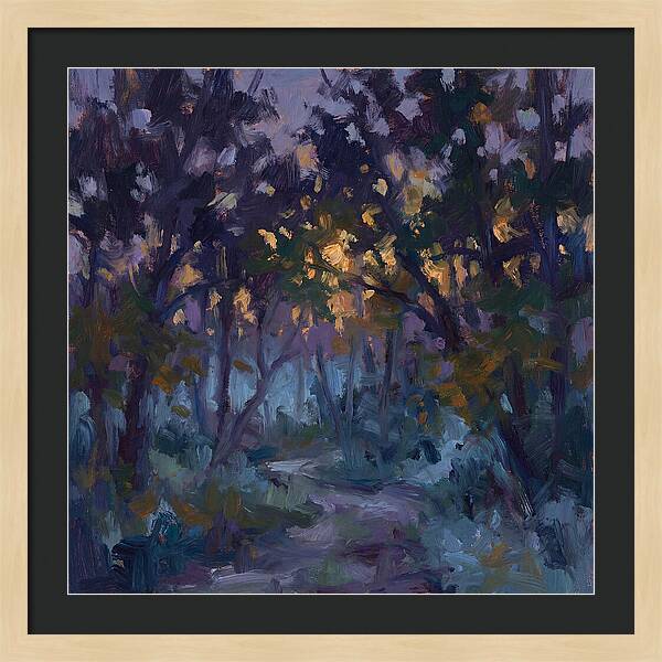 Enchanted Evening Trail