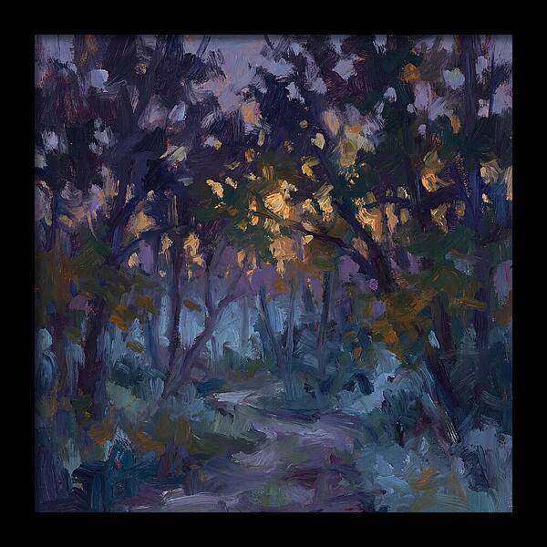 Enchanted Evening Trail