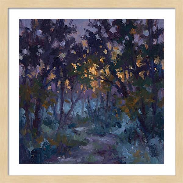 Enchanted Evening Trail