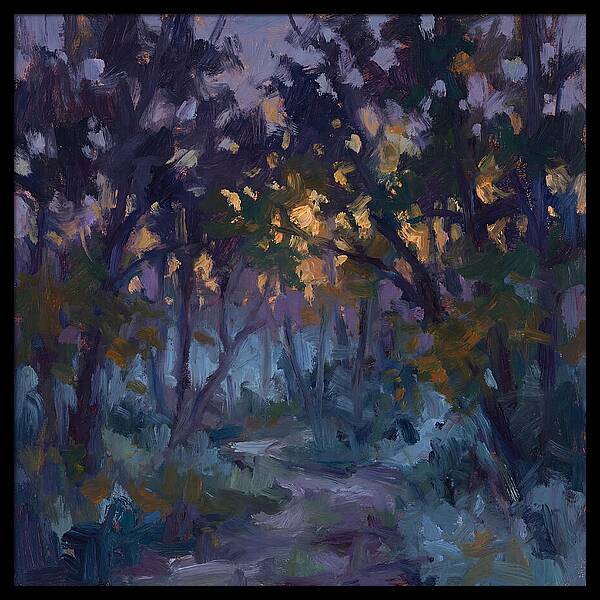 Enchanted Evening Trail