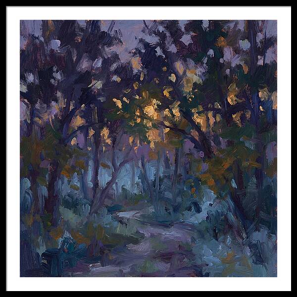 Enchanted Evening Trail