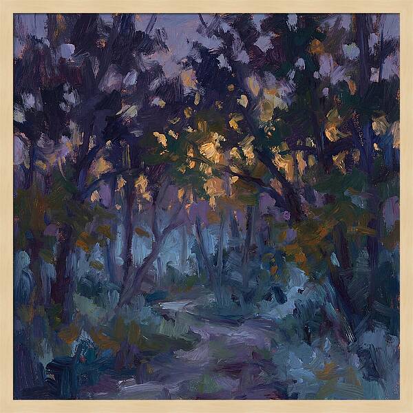 Enchanted Evening Trail