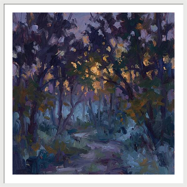Enchanted Evening Trail