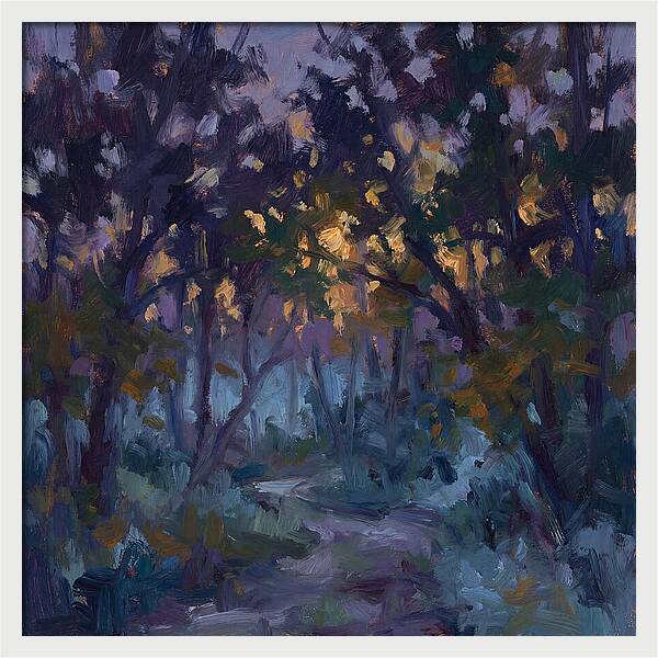 Enchanted Evening Trail