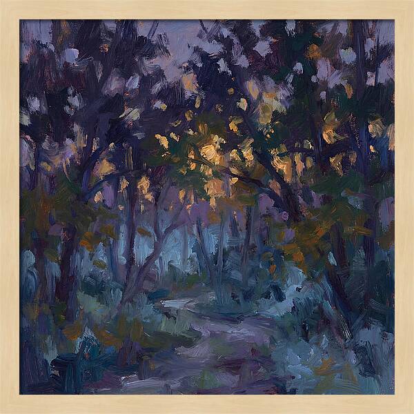 Enchanted Evening Trail