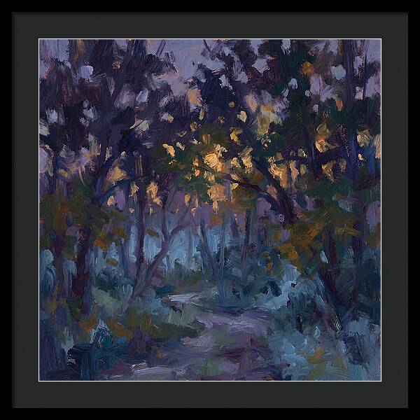 Enchanted Evening Trail