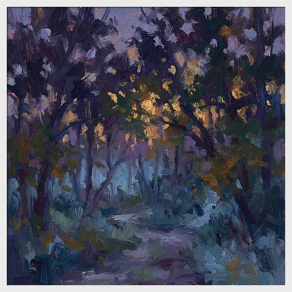 Enchanted Evening Trail