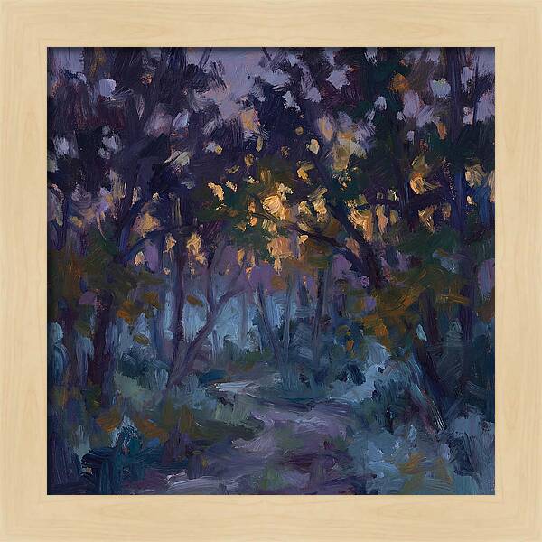 Enchanted Evening Trail