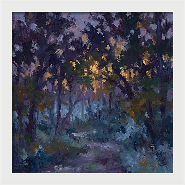 Enchanted Evening Trail