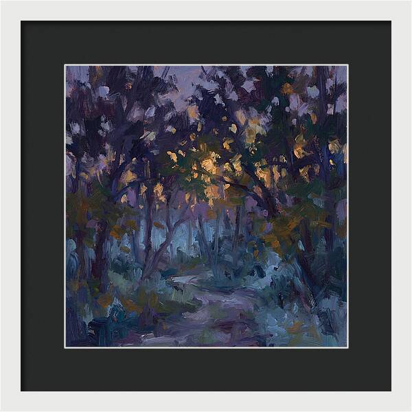 Enchanted Evening Trail