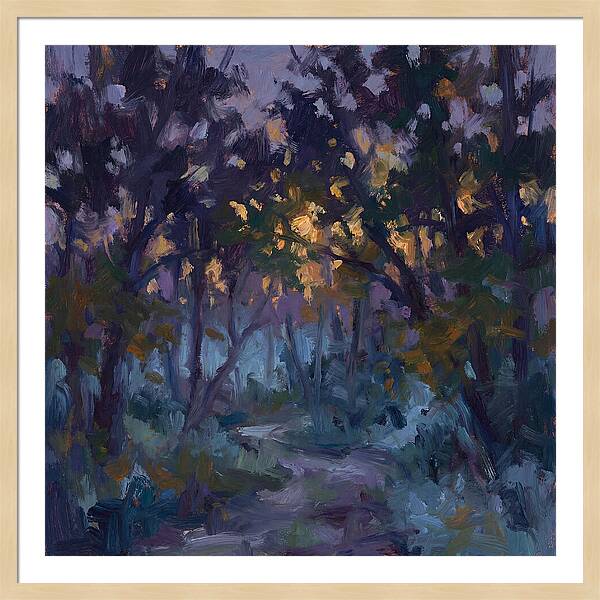 Enchanted Evening Trail