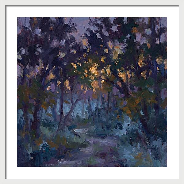 Enchanted Evening Trail