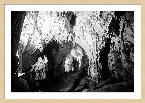 Enchanted Glowworm Cave Adventure