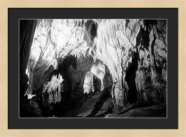 Enchanted Glowworm Cave Adventure