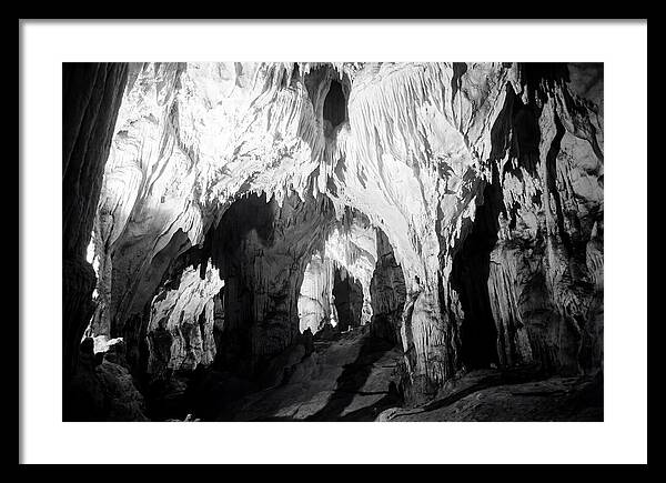 Enchanted Glowworm Cave Adventure