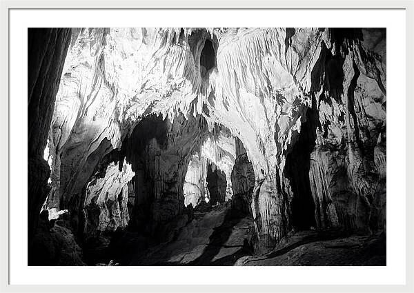 Enchanted Glowworm Cave Adventure