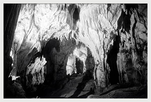 Enchanted Glowworm Cave Adventure