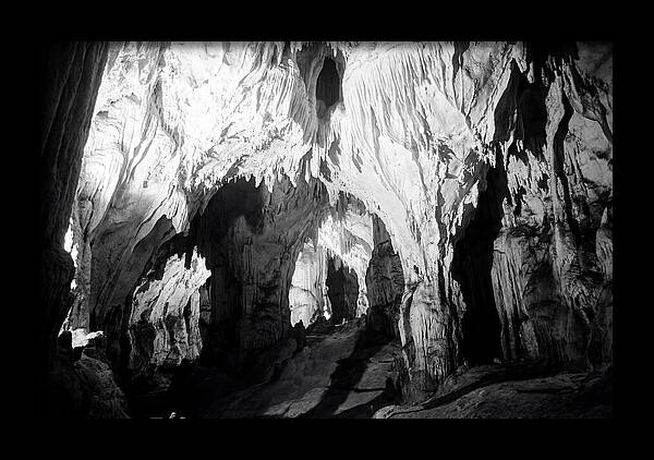 Enchanted Glowworm Cave Adventure