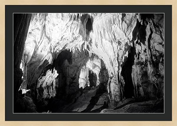 Enchanted Glowworm Cave Adventure