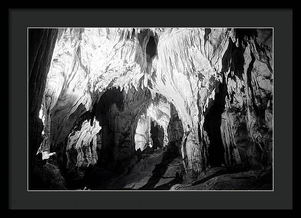 Enchanted Glowworm Cave Adventure
