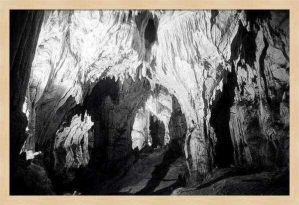 Enchanted Glowworm Cave Adventure