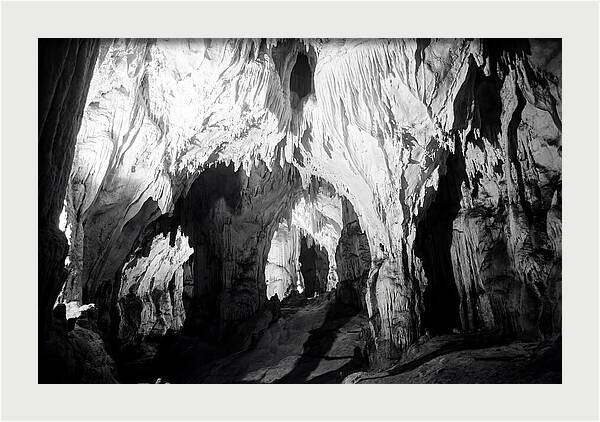 Enchanted Glowworm Cave Adventure