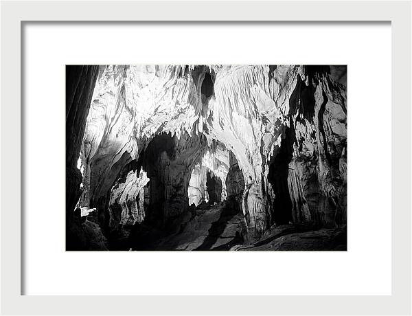 Enchanted Glowworm Cave Adventure