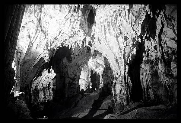 Enchanted Glowworm Cave Adventure