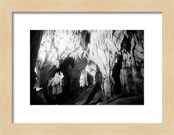 Enchanted Glowworm Cave Adventure