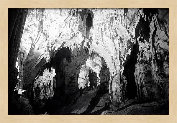 Enchanted Glowworm Cave Adventure