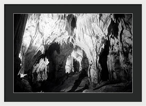 Enchanted Glowworm Cave Adventure