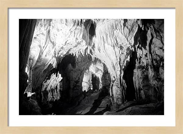 Enchanted Glowworm Cave Adventure
